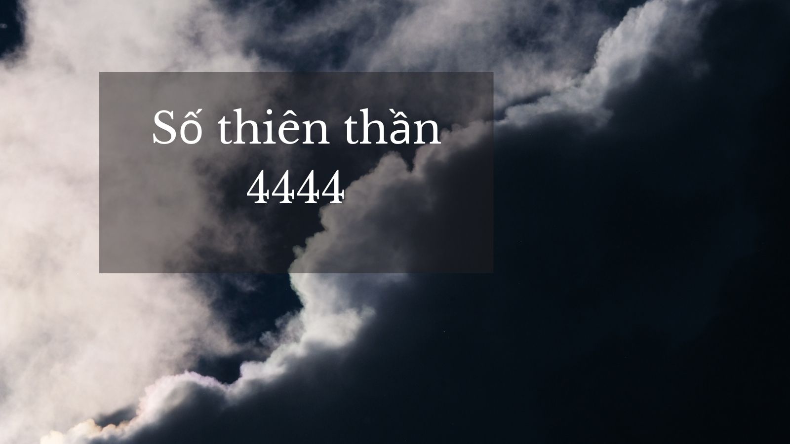 Bạn nên làm gì khi nhìn thấy số thiên thần 4444
